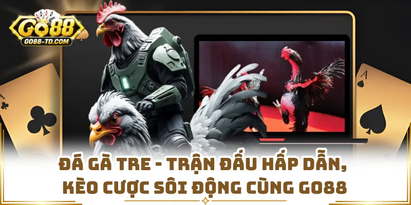 Đá Gà Tre - Trận Đấu Hấp Dẫn, Kèo Cược Sôi Động Cùng GO88