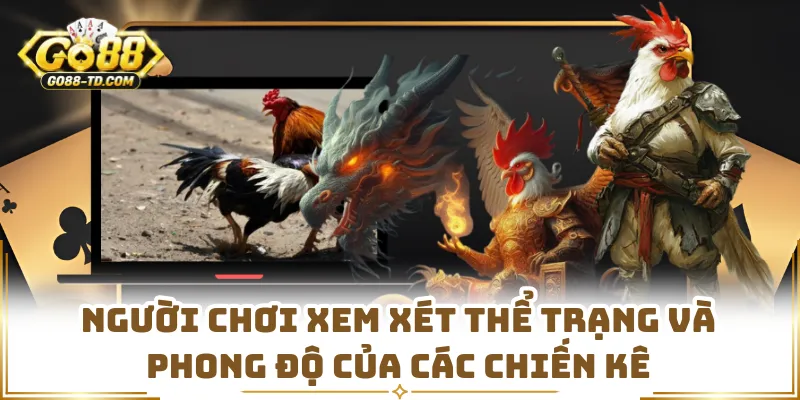 Người Chơi Xem Xét Thể Trạng Và Phong Độ Của Các Chiến Kê