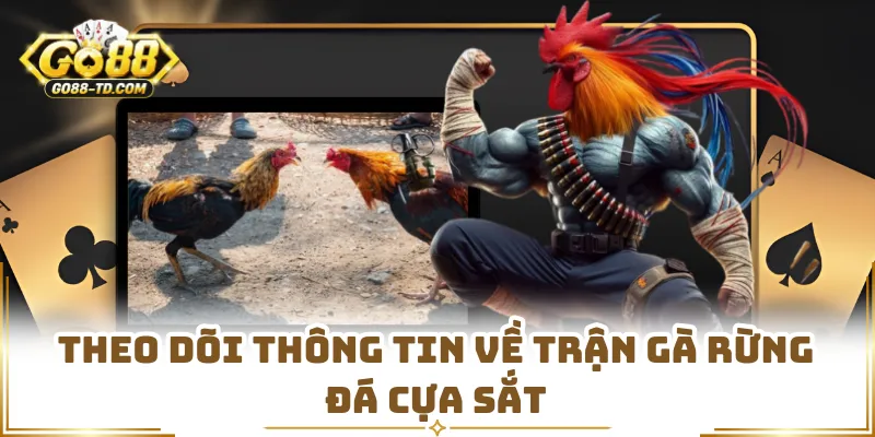 Theo Dõi Thông Tin Về Trận Gà Rừng Đá Cựa Sắt